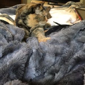 Meet your Posher, Kole